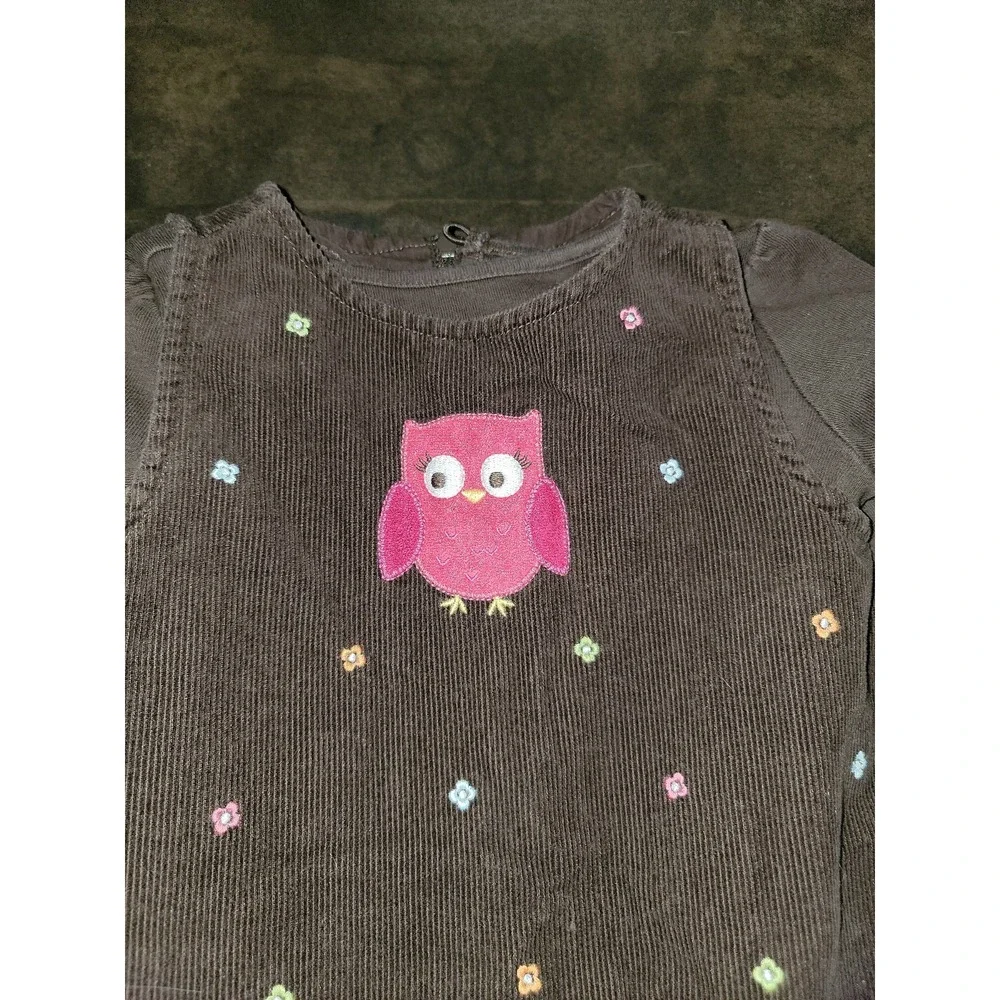 Gymboree fall homecoming owl dress‎ with brown shirt size 18 24 months